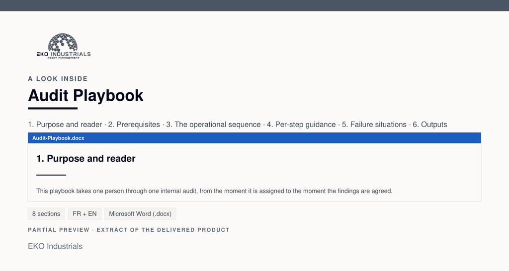A look inside Audit Playbook: a real page from the delivered document.
