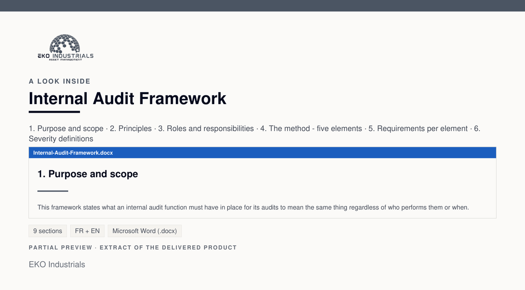 A look inside Internal Audit Framework: a real page from the delivered document.