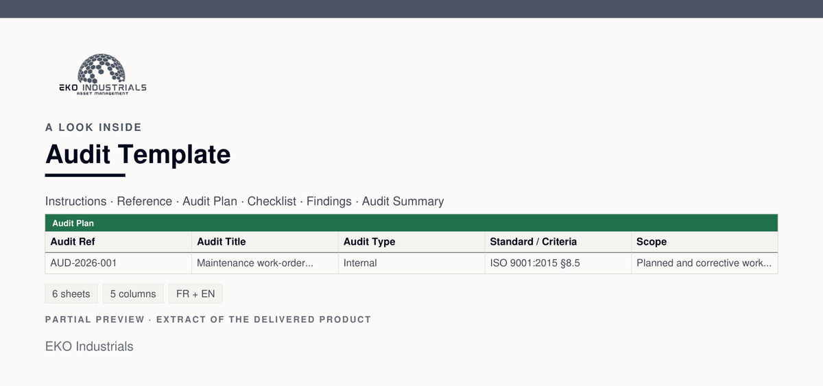 A look inside Audit Template: a real extract of the delivered workbook, with its sheets and columns.