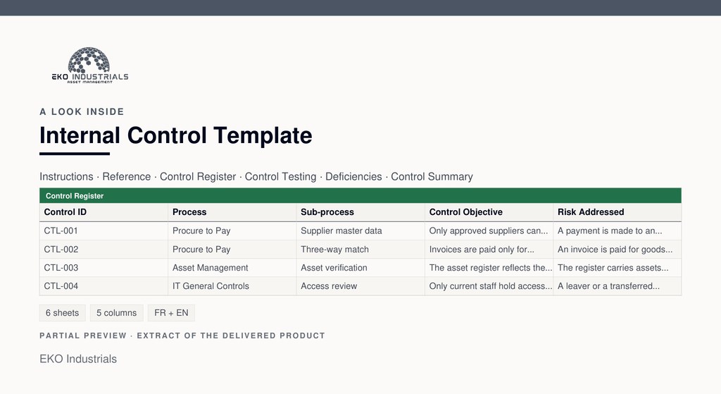 A look inside Internal Control Template: a real extract of the delivered workbook, with its sheets and columns.