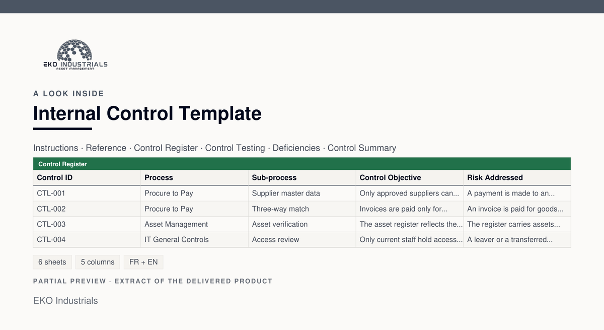 A look inside Internal Control Template: a real extract of the delivered workbook, with its sheets and columns.