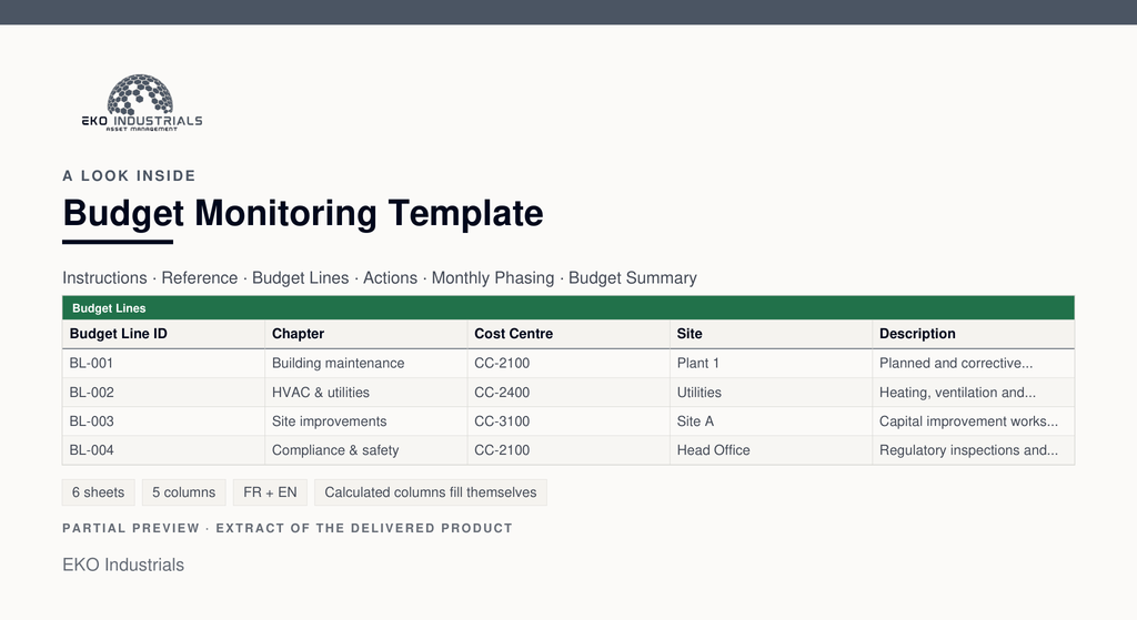 A look inside Budget Monitoring Template: a real extract of the delivered workbook, with its sheets and columns.