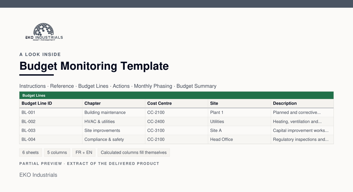 A look inside Budget Monitoring Template: a real extract of the delivered workbook, with its sheets and columns.
