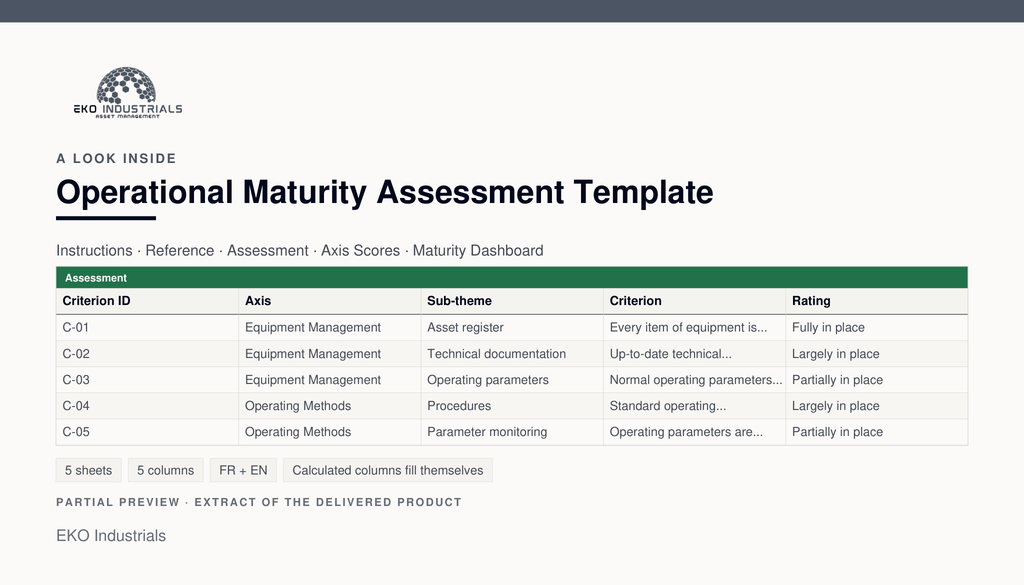 A look inside Operational Maturity Assessment Template: a real extract of the delivered workbook, with its sheets and columns.