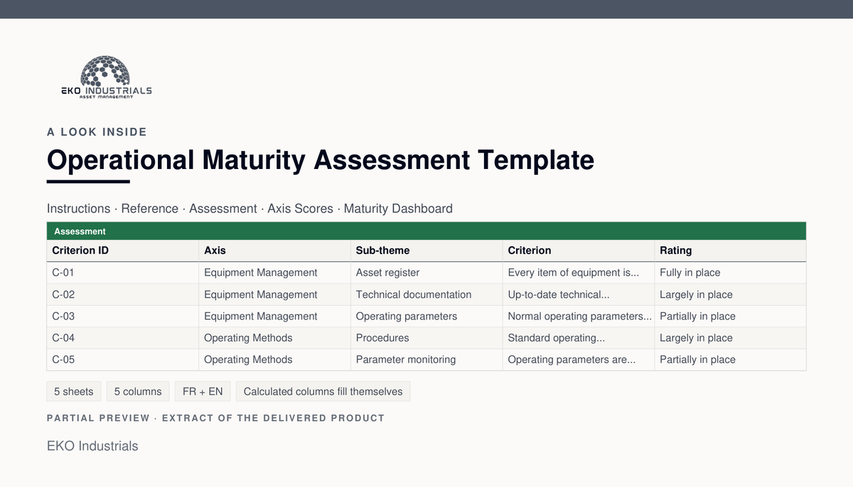 A look inside Operational Maturity Assessment Template: a real extract of the delivered workbook, with its sheets and columns.